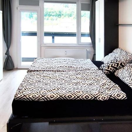 Útulný apartmán v centru, s krásným výhledem Decin Exterior foto