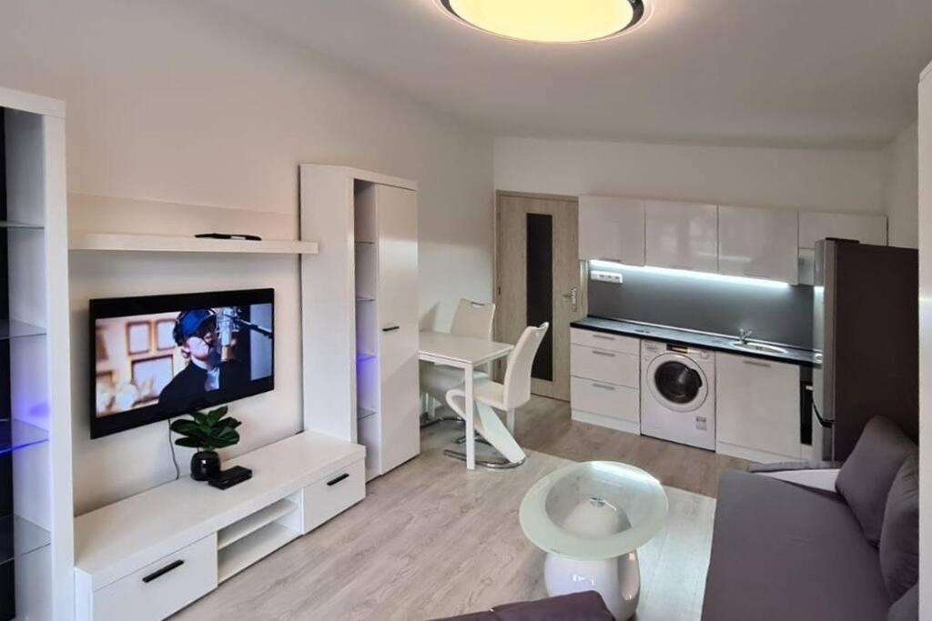 Útulný apartmán v centru, s krásným výhledem Decin Exterior foto