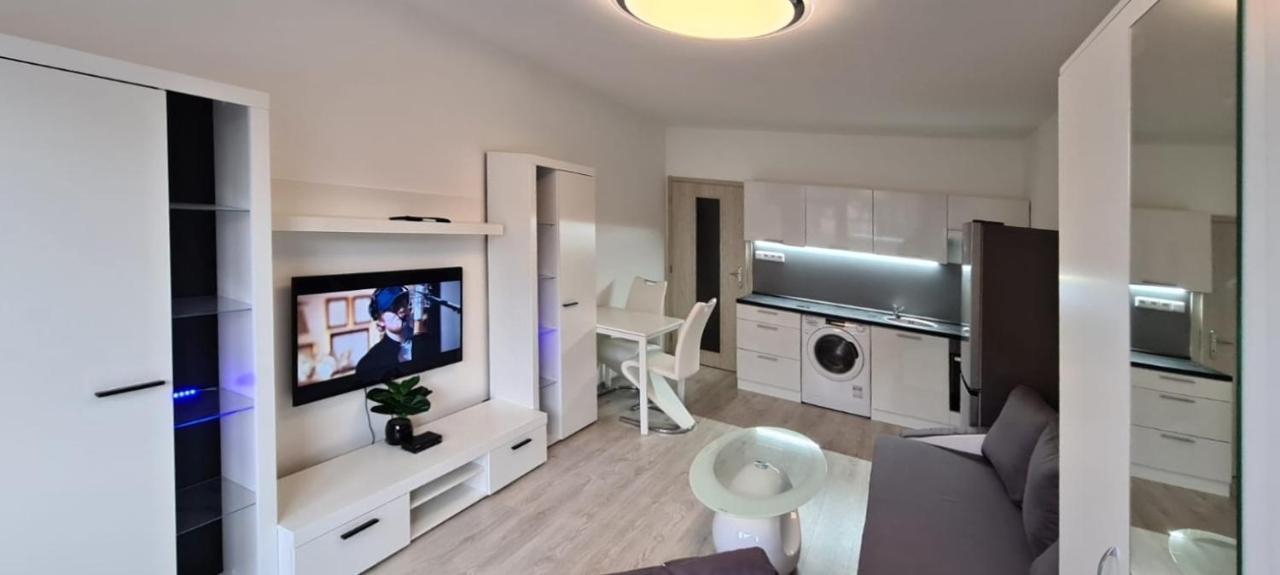 Útulný apartmán v centru, s krásným výhledem Decin Exterior foto