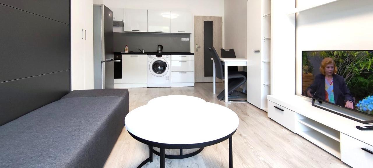 Útulný apartmán v centru, s krásným výhledem Decin Exterior foto