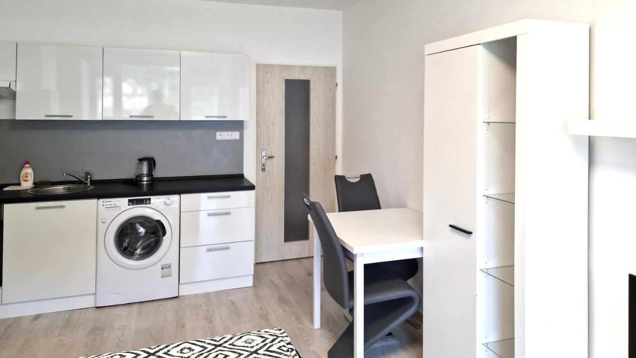 Útulný apartmán v centru, s krásným výhledem Decin Exterior foto