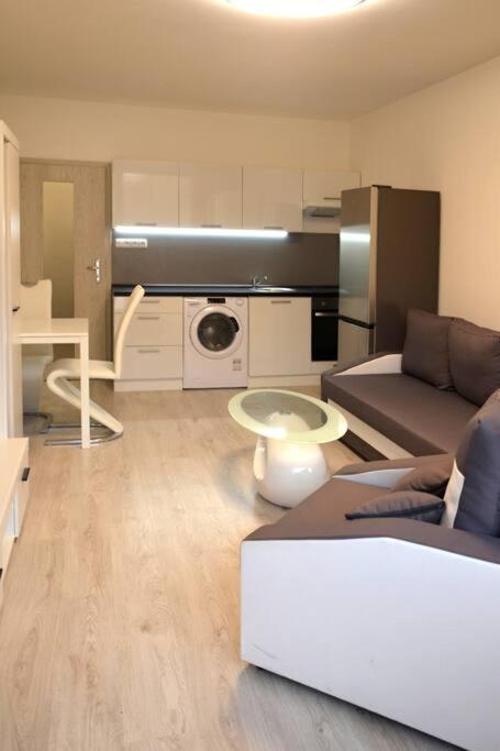 Útulný apartmán v centru, s krásným výhledem Decin Exterior foto